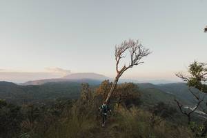 BIB: 
                            <button type="button" onclick="openModal(16050277)" class="btn btn-primary btn-sm float-right btn-popup" data-toggle="modal" data-target=".modal-high-quality">
                        <i class="fas fa-shopping-cart"></i> Add to Cart
                    </button>
                                            <button type="button" onclick="isThisMe(16050277, true)" class="btn btn-success btn-sm float-right btn-popup btn-isme hidden" data-toggle="tooltip" data-placement="bottom" title="นี่คือรูปของคุณใช่ไหม คลิกที่นี่เพื่อเอาเข้าอัลบั้ม">
                        <i class="fas fa-plus"></i> Add to album
                    </button>
                    <button type="button" onclick="isThisMe(16050277, false)" class="btn btn-warning btn-sm float-right btn-popup btn-isnotme hidden">
                        <i class="fas fa-ban"></i> Remove from album
                    </button>